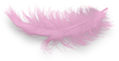 Plume